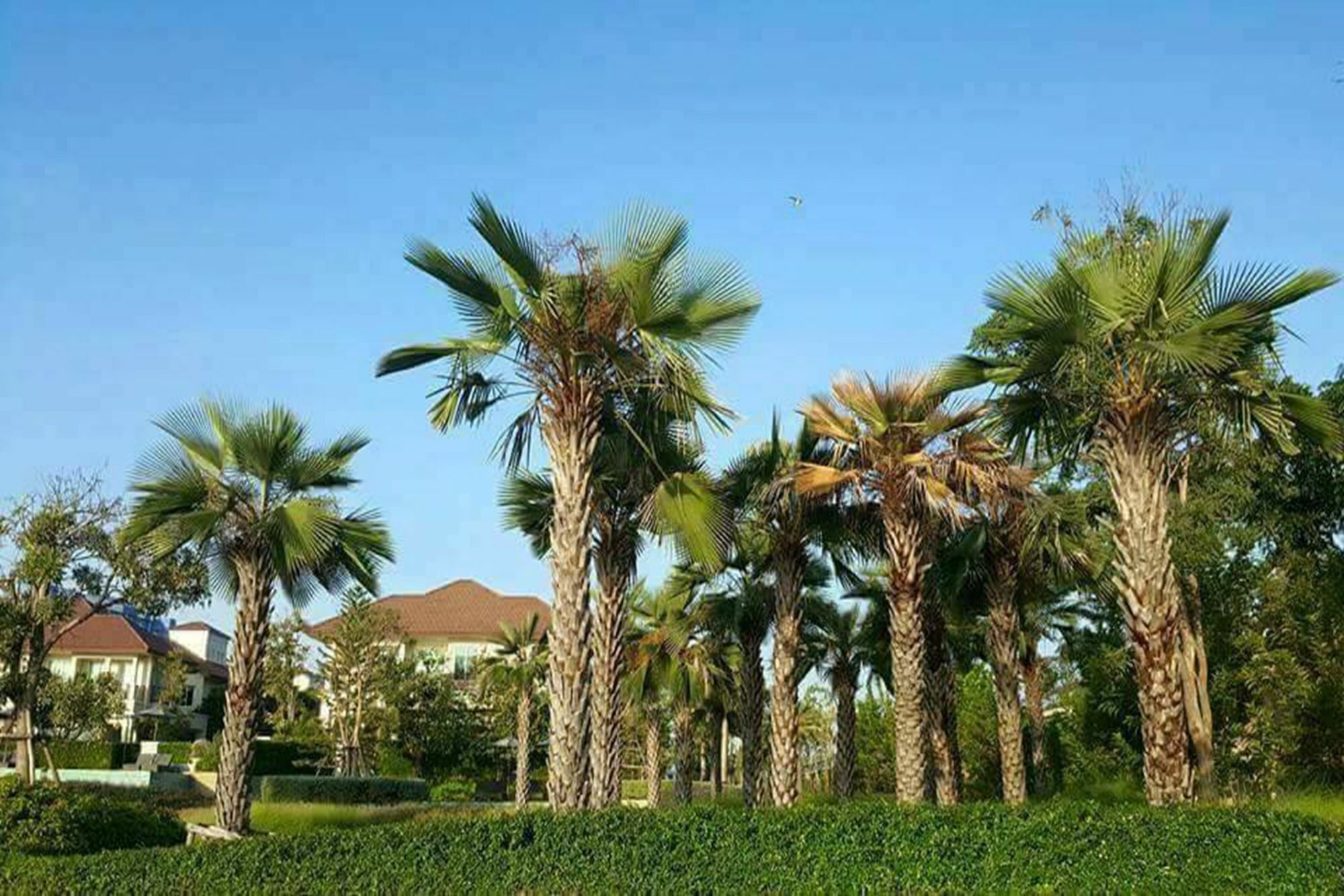 Panorama Sea View At Boulervard Cha-Am Exterior photo